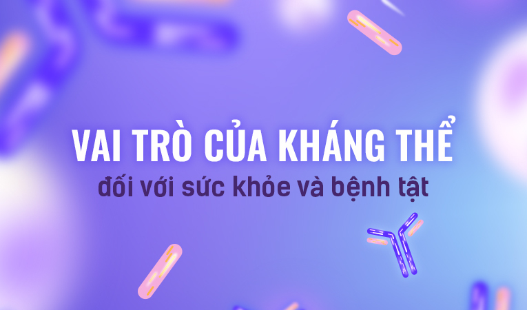 Kháng thể là gì? Vai trò của kháng thể đối với sức khỏe và bệnh tật