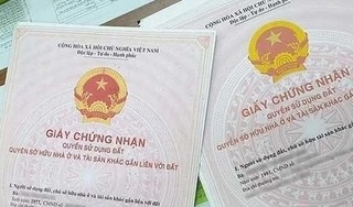 TP.HCM sẽ không thu phí cấp giấy chứng nhận quyền sử dụng đất
