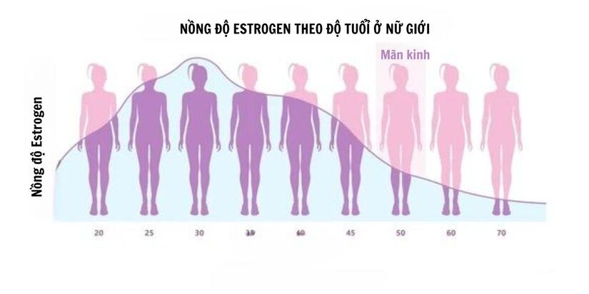 Cải thiện hiệu quả tình trạng suy giảm ham muốn ở phụ nữ sau mãn kinh