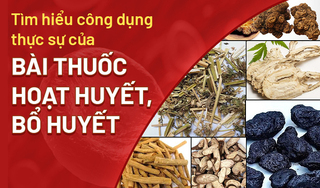 Tìm hiểu công dụng thực sự của bài thuốc hoạt huyết bổ huyết