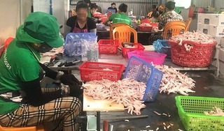 Quảng Bình: Phát hiện 3 tấn gà đông lạnh không nguồn gốc tại xưởng sơ chế thực phẩm