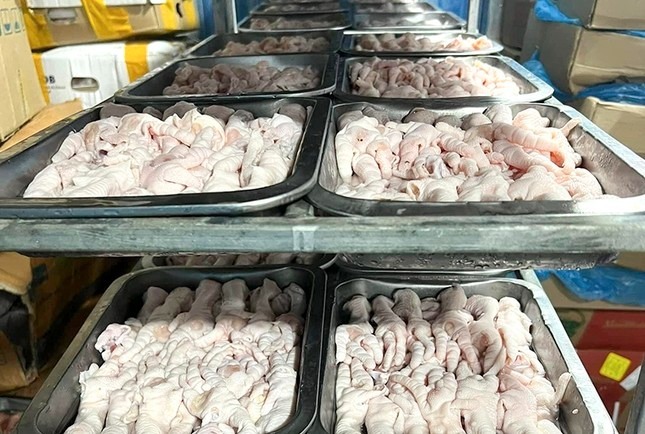 Quảng Bình: Phát hiện 3 tấn gà đông lạnh không nguồn gốc 