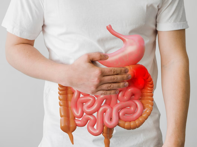 Tại sao dùng kháng sinh gây loạn khuẩn đường ruột, tiêu chảy?