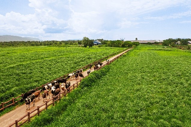 Người dân/nông dân hưởng lợi gì khi doanh nghiệp làm 'NET ZERO'
