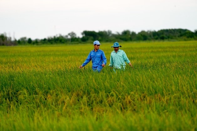 Người dân/nông dân hưởng lợi gì khi doanh nghiệp làm 'NET ZERO'
