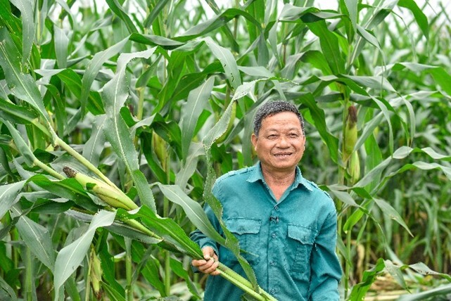 Người dân/nông dân hưởng lợi gì khi doanh nghiệp làm 'NET ZERO'