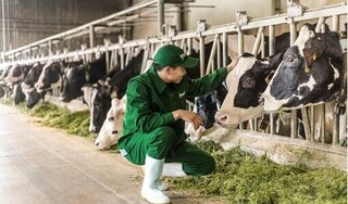 Người dân/nông dân hưởng lợi gì khi doanh nghiệp làm 'NET ZERO'