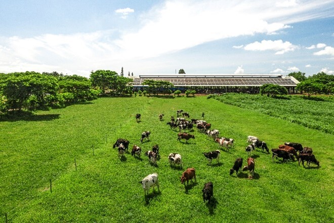 Người dân/nông dân hưởng lợi gì khi doanh nghiệp làm 'NET ZERO'