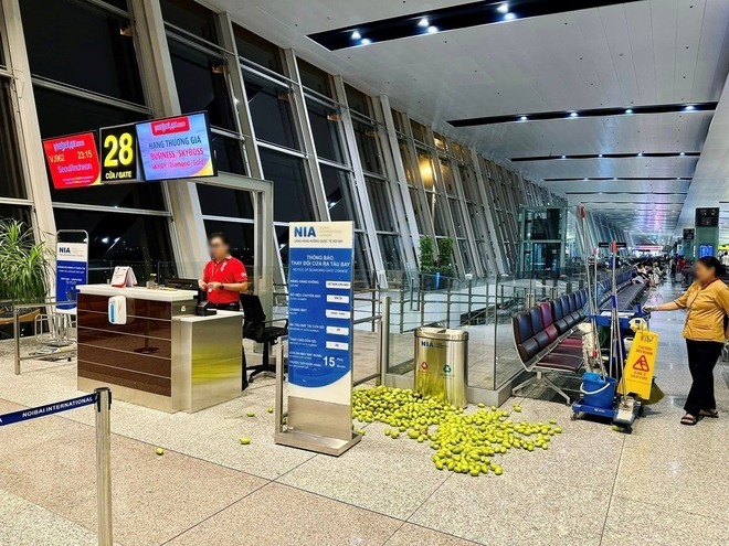Xôn xao hình ảnh đống xoài - cóc nằm ngổn ngang trên sàn nhà ga sân bay Nội Bài