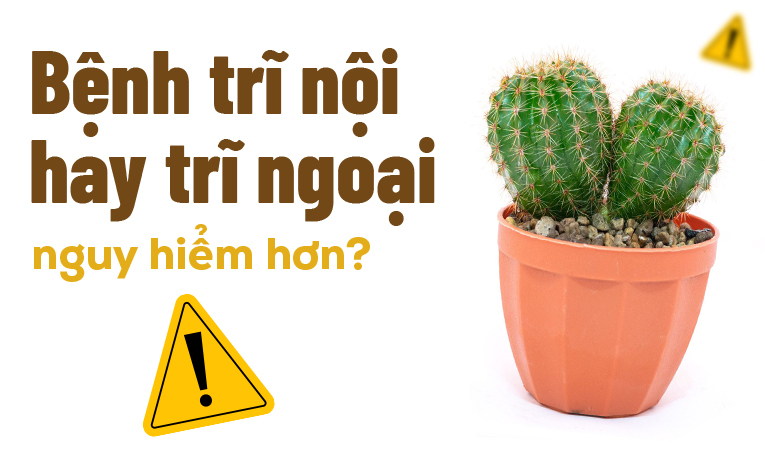 Giải đáp nhanh: Bệnh trĩ nội hay trĩ ngoại nguy hiểm hơn?