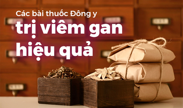 Các bài thuốc Đông y trị viêm gan hiệu quả