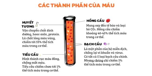 Độ nhớt của máu và ảnh hưởng của nó đối với sức khỏe