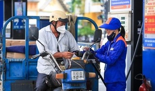 Giá xăng hôm nay ngày 29/7/2024: Thế giới tăng trở lại