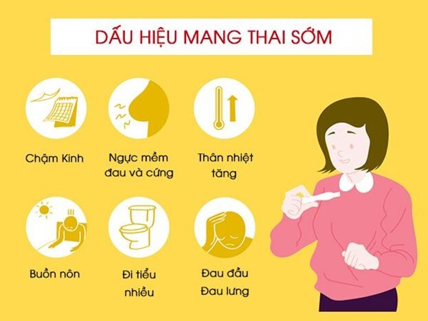 Dấu hiệu có thai 3 tuần đầu: Những thay đổi mẹ cần lưu ý