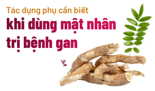 Tác dụng phụ cần biết khi dùng mật nhân trị bệnh gan