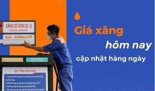 Giá xăng hôm nay ngày 5/8/2024: Thế giới giảm sâu hơn