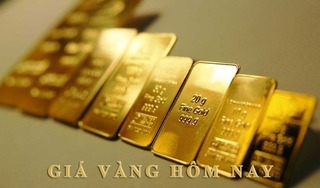 Giá vàng hôm nay ngày 6/8/2024: Thế giới giảm nhẹ