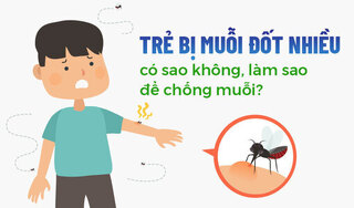 Trẻ bị muỗi đốt nhiều có sao không, làm sao để chống muỗi?