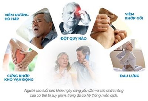 Tăng cường sức khỏe cho người già: Cần dự phòng tai biến mạch máu não