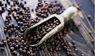 Giá hồ tiêu hôm nay 9/8/2024: Trong nước hồi phục