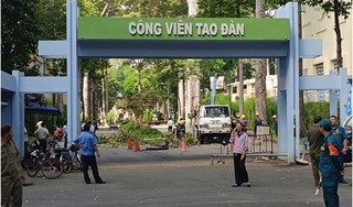 TP Hồ Chí Minh: Hai người tử vong do nhánh cây rơi trúng