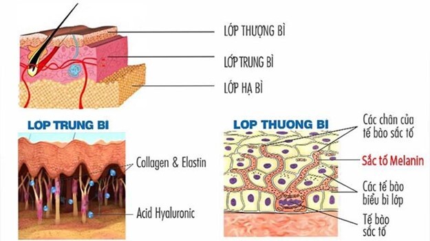 Dưỡng da trắng hồng tại nhà: Mách bạn công thức hiệu quả và đơn giản