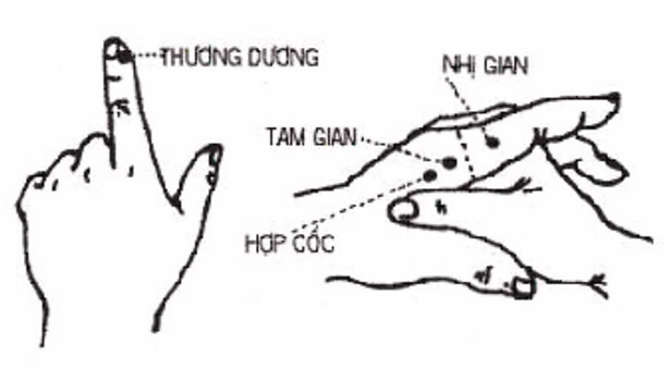 Đau răng bấm huyệt nào? Cách bấm huyệt giảm đau răng