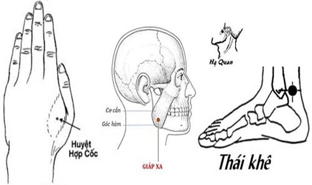 Đau răng bấm huyệt nào? Cách bấm huyệt giảm đau răng