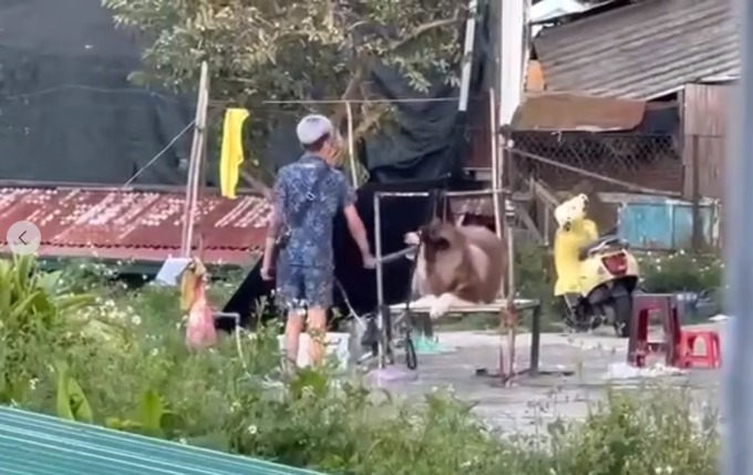Vụ chú chó chụp ảnh với du khách ở Đà Lạt bị đánh đập dã man: Chính quyền lên tiếng