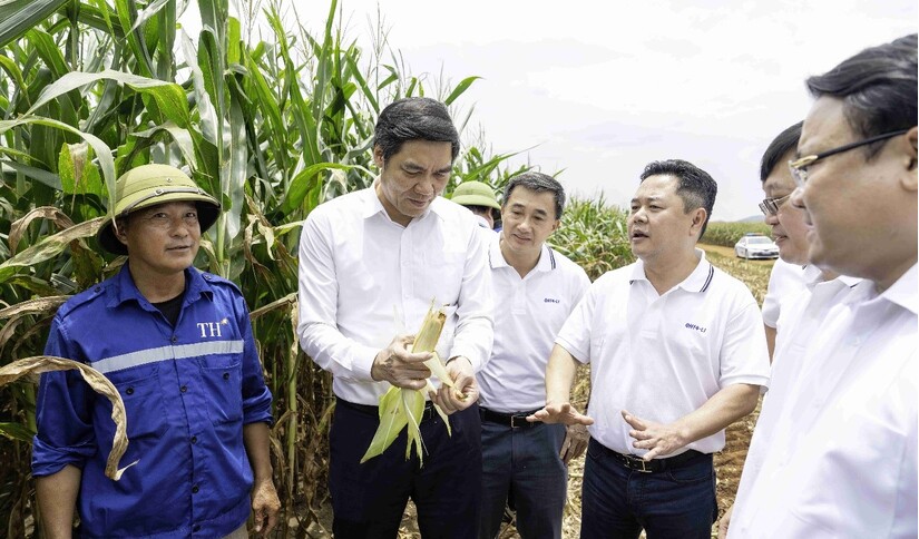TH true MILK: 'Đánh thức nguồn lực tinh thần quý giá là lòng tự hào dân tộc'
