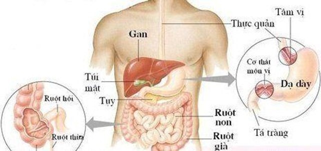 Đau quặn bụng sau khi ăn: Những dấu hiệu cần đi thăm khám ngay