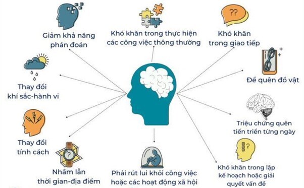 Suy giảm trí nhớ ở người già: Lão hóa tự nhiên hay tổn thương não bộ?