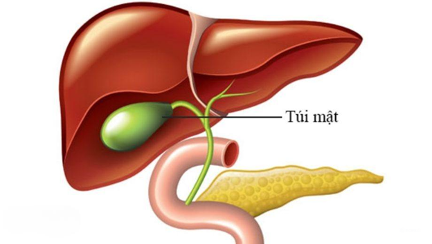 Chứng can huyết hư trong Đông y – Nguyên nhân, các bài thuốc điều trị