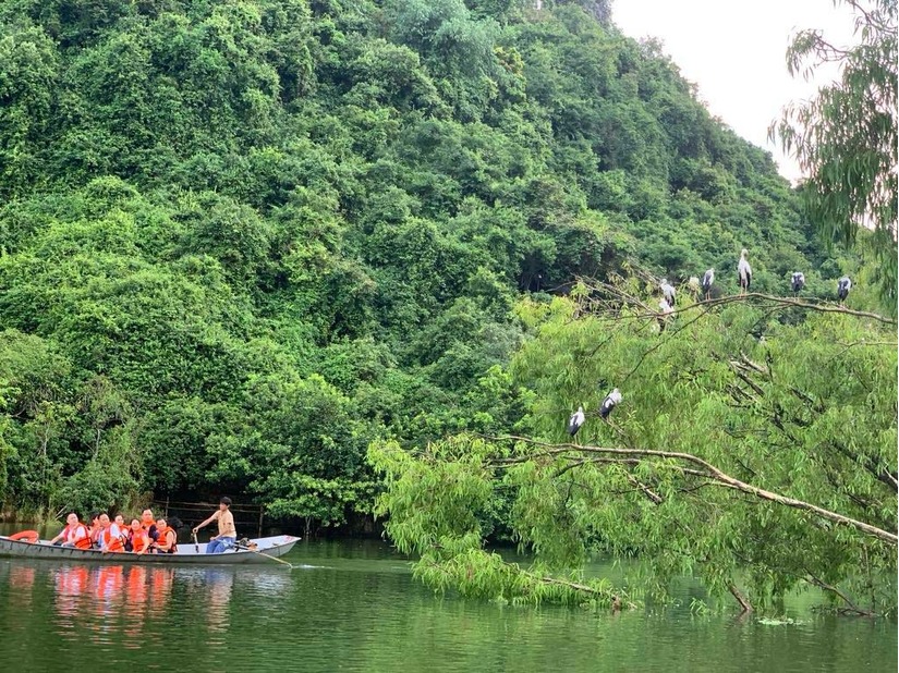 Sát ngày nghỉ lễ 2/9, giá tour, giá khách sạn liệu có tăng?