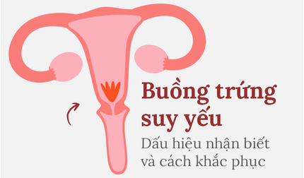 Buồng trứng suy yếu: Dấu hiệu nhận biết và cách khắc phục