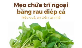 Mẹo chữa trĩ ngoại bằng rau diếp cá hiệu quả, an toàn tại nhà