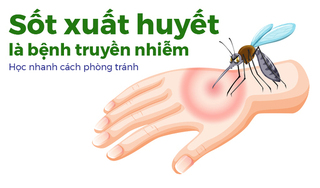 Sốt xuất huyết là bệnh truyền nhiễm: Học nhanh cách phòng tránh