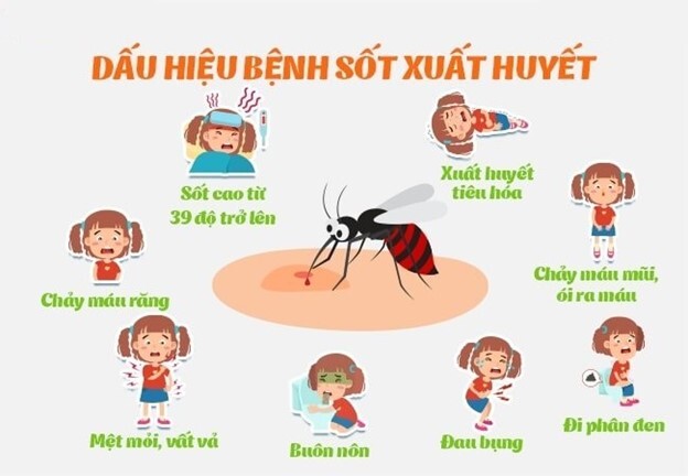 Sốt xuất huyết là bệnh truyền nhiễm: Học nhanh cách phòng tránh