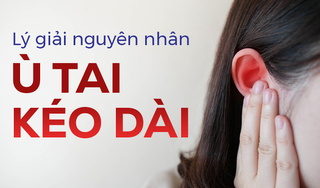 Lý giải nguyên nhân khiến bạn có tình trạng ù tai kéo dài