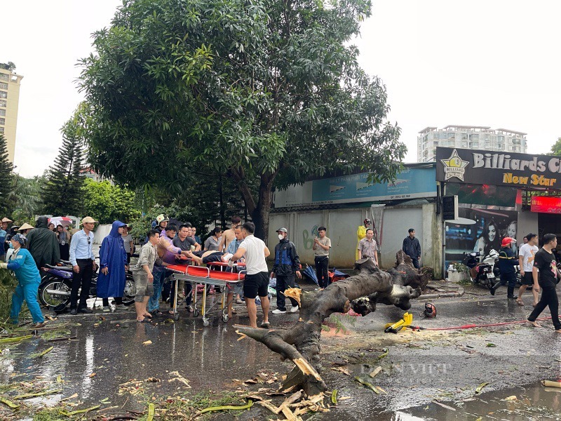 Hà Nội: Giông cực lớn do ảnh hưởng siêu bão Yagi, 2 người bị cây gãy đè trúng thương vong