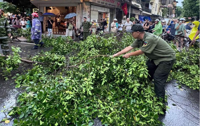 Hà Nội: Giông cực lớn do ảnh hưởng siêu bão Yagi, 2 người bị cây gãy đè trúng thương vong