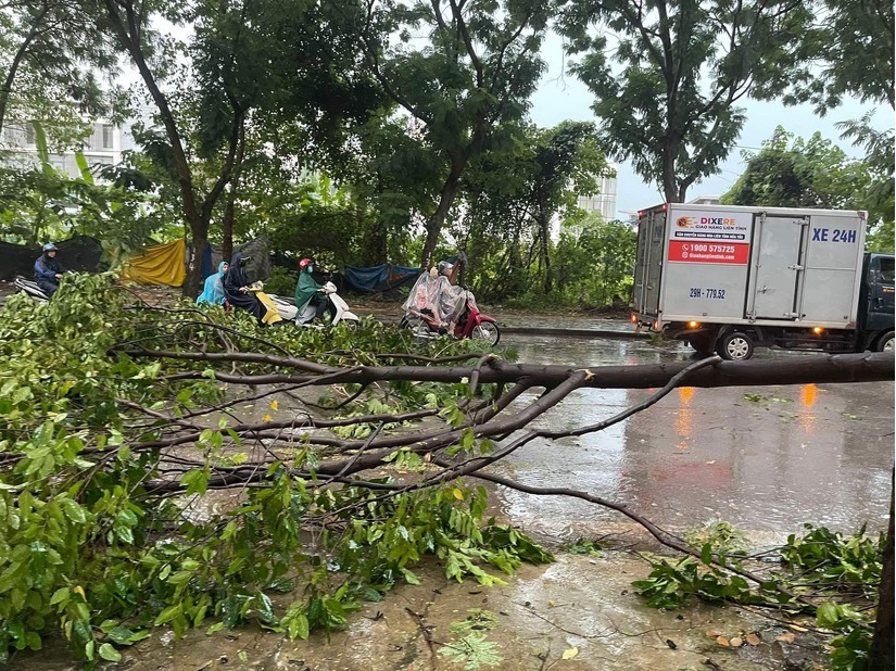 Hà Nội: Giông cực lớn do ảnh hưởng siêu bão Yagi, 2 người bị cây gãy đè trúng thương vong