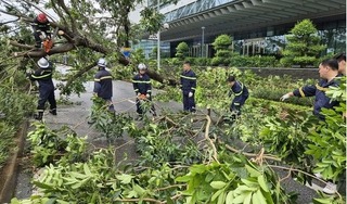 Bí thư Thành ủy Hà Nội chỉ đạo khắc phục hậu quả mưa bão