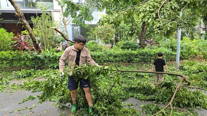 Xuân Bắc cùng con hỗ trợ dọn cây đổ sau bão, Phương Lê góp 500 triệu đồng hỗ trợ vùng bị thiên tai