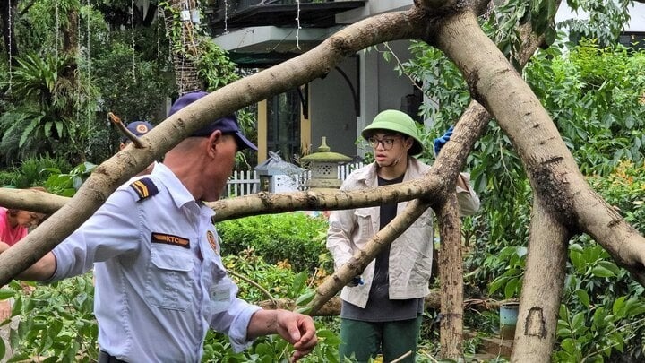 Xuân Bắc cùng con hỗ trợ dọn cây đổ sau bão, Phương Lê góp 500 triệu đồng hỗ trợ vùng bị thiên tai