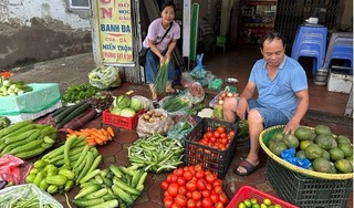 Giá rau xanh tại Yên Bái 'đắt thêm' 20%, Quảng Ninh và Hải Phòng tăng từ 10-15%