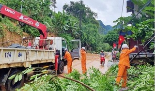 Gần 1 tuần sau bão Yagi: Vẫn còn gần nửa triệu hộ dân bị mất điện