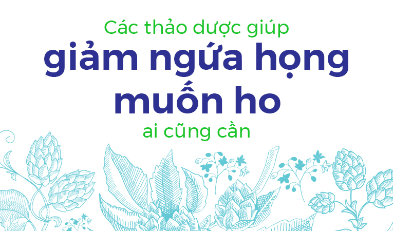 Các thảo dược giúp giảm ngứa họng muốn ho ai cũng cần