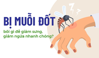 Con bị muỗi đốt bôi gì để giảm sưng, giảm ngứa nhanh chóng?