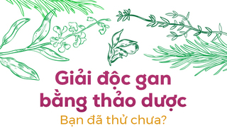 Giải độc gan bằng thảo dược: Bạn đã thử chưa?